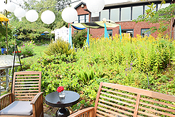 DAYLIGHT, DARK NIGHT AND BLUE SKIES WITH PAPA BUENO